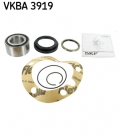VKBA3919